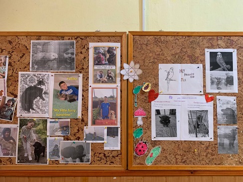 ������� ��������� ����