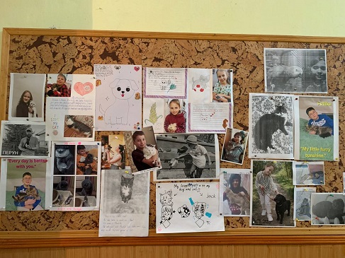 ������� ��������� ����